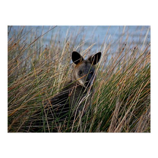 お前 ポスター (正面)