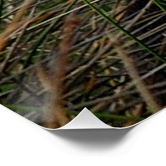 お前 ポスター (コーナー)