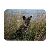 お前 マグネット (横)