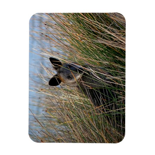 お前 マグネット (縦)