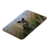 お前 マグネット (左側)