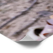 「お友達とランチ」女性リスのポスター ポスター (角)