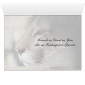 お友達素晴らしAs You - Cougar Card (内部横(下))