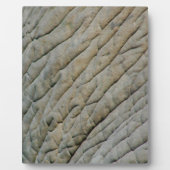 お名前のパーソナライズされたゾウの皮 フォトプラーク (正面)