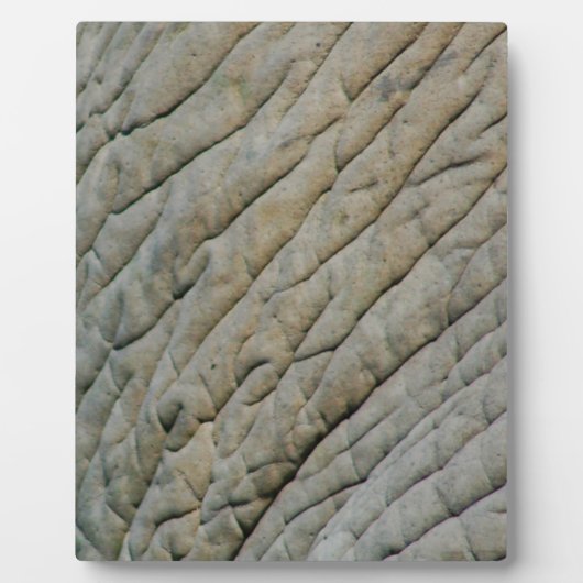 お名前のパーソナライズされたゾウの皮 フォトプラーク (正面)