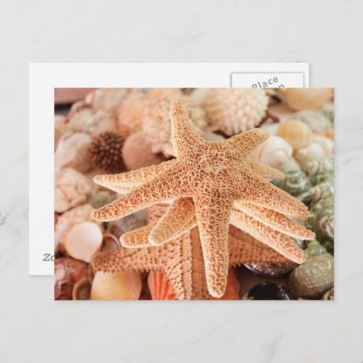 お土産として売られる干しスター2 ポストカード (正面/裏面)