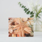 お土産として売られる干しスター2 ポストカード (スタンド正面)