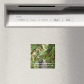 お土産マグネット – キンノーレインフォレスト、オリンピックNP マグネット (インサイチュ (食洗機))