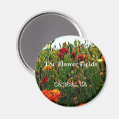 お土産マグネット、花畑、カールスバッド、カリフォルニア州。 マグネット (正面/裏面)