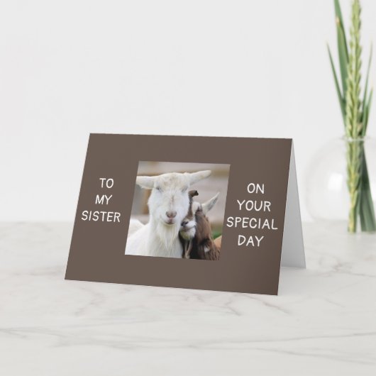 *お姉さん専用*カード カード (正面)