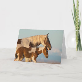 「お姉さん」 カード