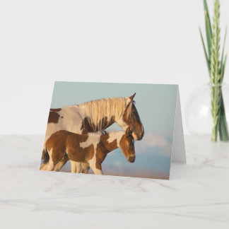 「お姉さん」 カード