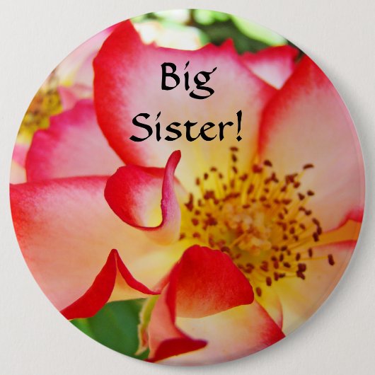 お姉さん!大きなボタン ピンク 白 赤のバラの花 缶バッジ (正面)