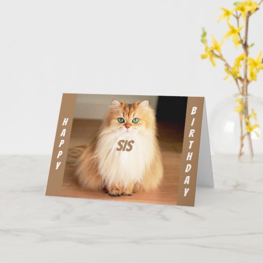 **お姉ちゃんに祝しよう**目の大きい猫が言う カード (黄色い花)