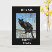 お姉ちゃんの誕生日用スマートパンツ黒猫 カード (黄色い花)