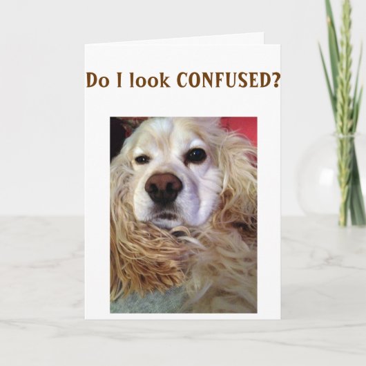 お姉ちゃん混乱してるのルック素晴らし誕生日 カード (正面)