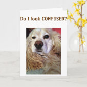 お姉ちゃん混乱してるのルック素晴らし誕生日 カード (黄色い花)