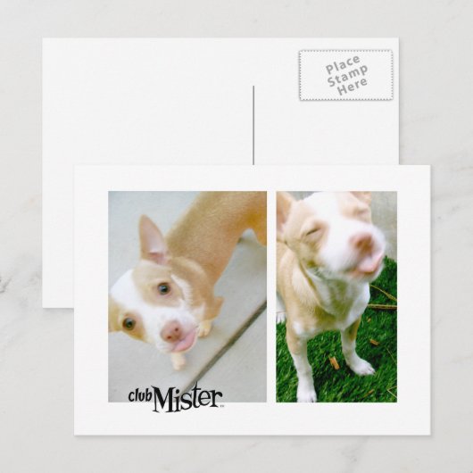 お嬢さん！舌！ ポストカード (正面/裏面)