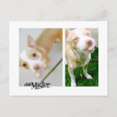 お嬢さん！舌！ ポストカード (正面)