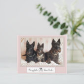 お嬢様はパールを身に着ける ポストカード (スタンド正面)