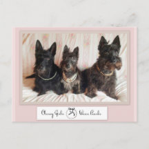 お嬢様はパールを身に着ける ポストカード