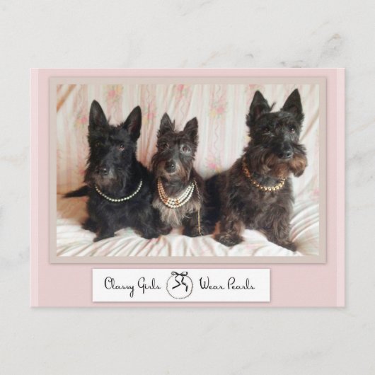 お嬢様はパールを身に着ける ポストカード (正面)