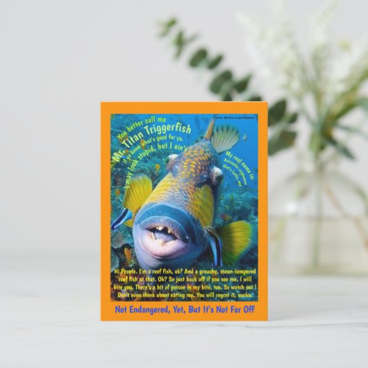 お子様向けのユーモアあふれるタイタントリガーフィッシュ - ポストカード (スタンド正面)
