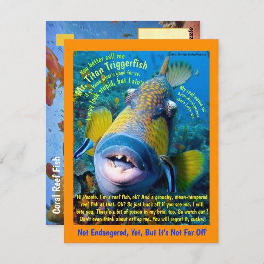 お子様向けのユーモアあふれるタイタントリガーフィッシュ - ポストカード (正面/裏面)