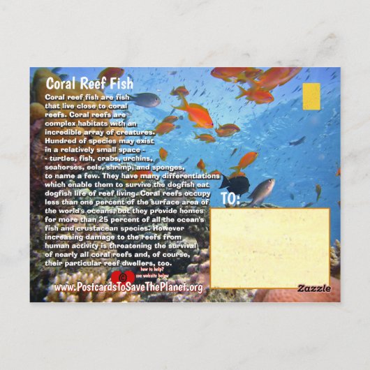 お子様向けのユーモアあふれるタイタントリガーフィッシュ - ポストカード (裏面)