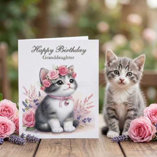 お孫さんお誕生日おめでとう かわいい子猫 カード