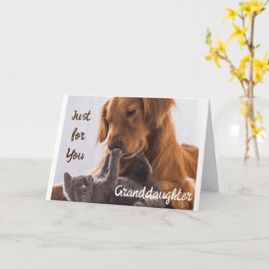 **お孫さん**誕生日は特別 カード (黄色い花)