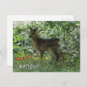 お守りの中で可愛い鹿。誕生日はがき ポストカード (正面/裏面)