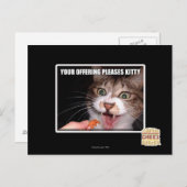 お客様のオファリング子猫 ポストカード (正面/裏面)