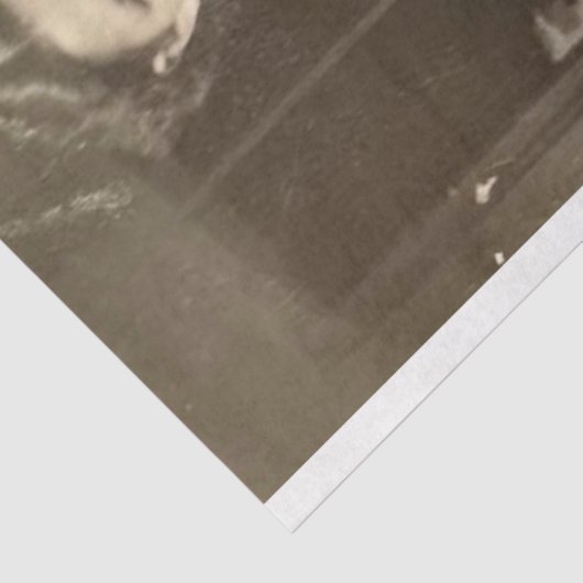 お客様の写真パーソナライズされたDPの分離 薄葉紙 (詳細)