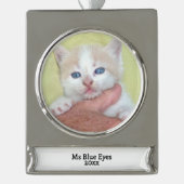 お客様の写真/文字伝統的 – 年間の贈り物とメッセージ シルバープレートバナーオーナメント (正面)