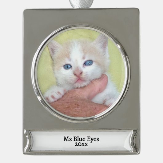 お客様の写真/文字伝統的 – 年間の贈り物とメッセージ シルバープレートバナーオーナメント (正面)