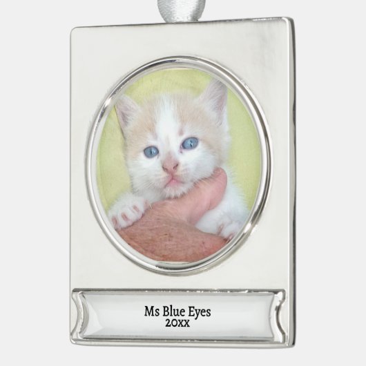 お客様の写真/文字伝統的 – 年間の贈り物とメッセージ シルバープレートバナーオーナメント (左)