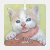 お客様の写真/文字伝統的 – 年間の贈り物とメッセージ メタルオーナメント (正面)