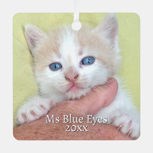 お客様の写真/文字伝統的 – 年間の贈り物とメッセージ メタルオーナメント (正面)