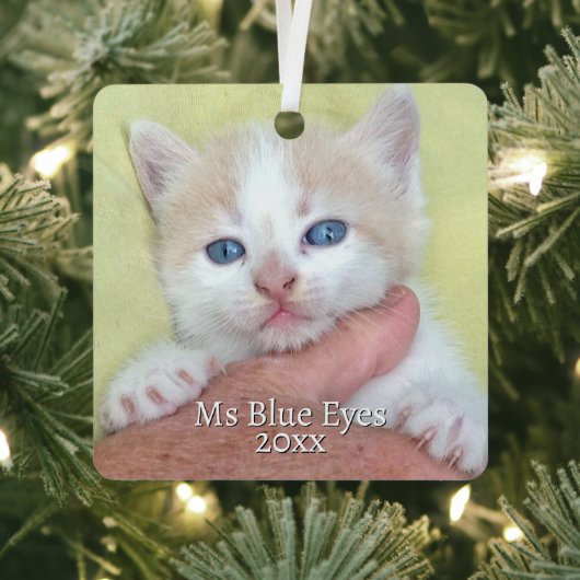 お客様の写真/文字伝統的 – 年間の贈り物とメッセージ メタルオーナメント (インサイチュ)