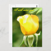 お客様は恋しく思/任意の大事な行事_はがき ポストカード (正面/裏面)