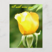 お客様は恋しく思/任意の大事な行事_はがき ポストカード (正面)