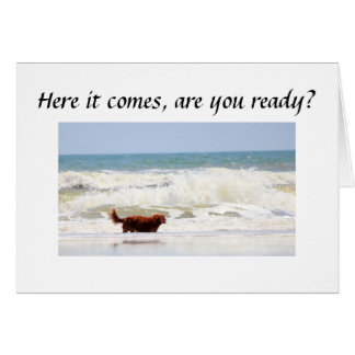 「お客様」のターンの準備はできていますか****50****