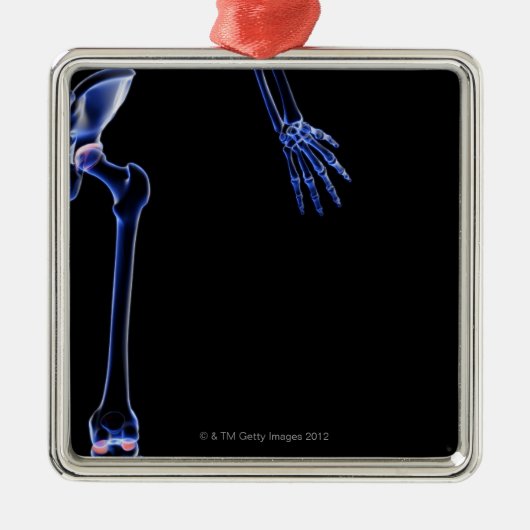 お尻の骨 メタルオーナメント (正面)