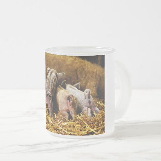 お尻を示しているベビーのコブタのMangalitsaの4台のブタ フロストグラスマグカップ (正面右)