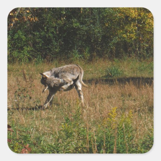 お尻キスをするロバ スクエアシール (正面)
