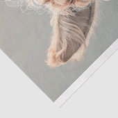 お尻チックラマデクページ 薄葉紙 (詳細)