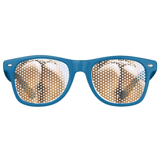 お尻マンG弦サングラスおもしろいメガネ! レトロサングラス (正面)