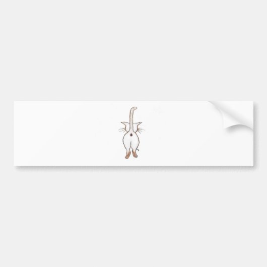 お尻何か。 バンパーステッカー (正面)