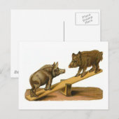 お尻頭豚 ポストカード (正面/裏面)